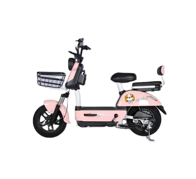 Cheap Electric Bicycle 48V 12AH/20AH 350w/500w Motor 14inch Ebike for Adults - PCWLDASHRES
