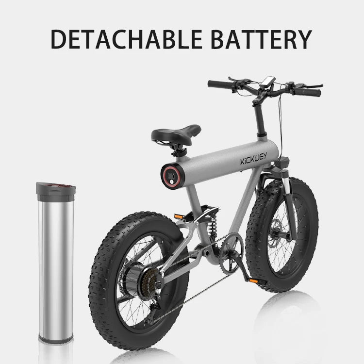 Full Suspension Ebik Kids Electric Bike - PCWLDASHRES