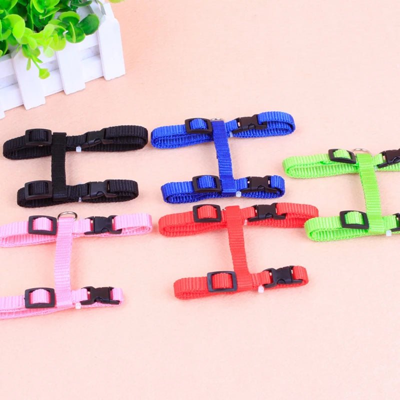 Hot - selling cat chest strap simple design traction rope high - quality nylon material sturdy and durable pet supplies - PCWLDASHRES