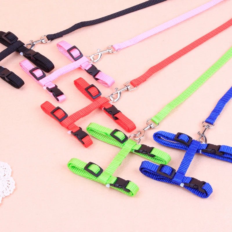 Hot - selling cat chest strap simple design traction rope high - quality nylon material sturdy and durable pet supplies - PCWLDASHRES
