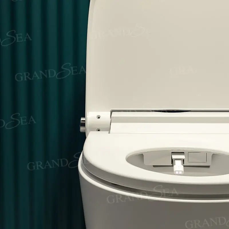 Luxury Floor Standing White Ceramic Smart Toilet Electric Bidet Smart Automatic Toilet with Remote Control - PCWLDASHRES